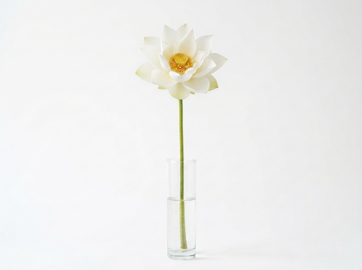 Lotus in Vase