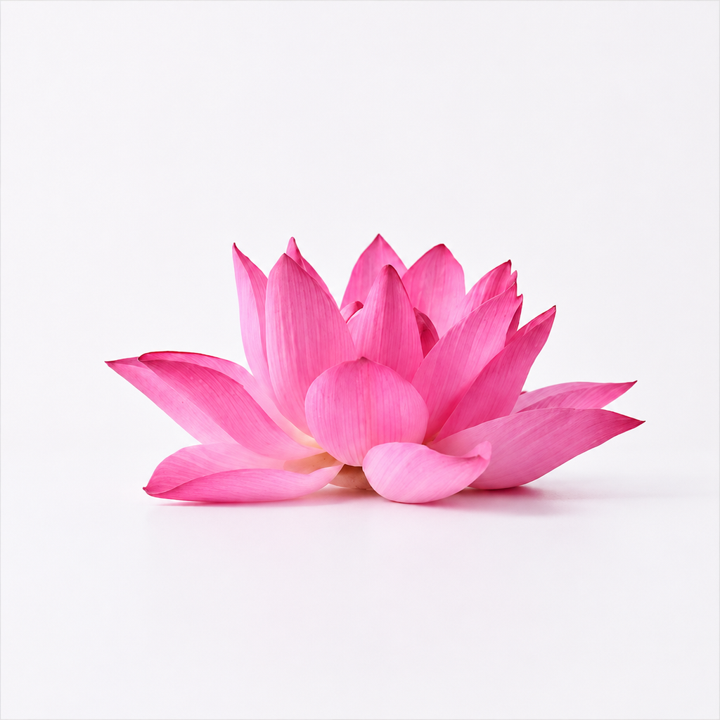 Lotus