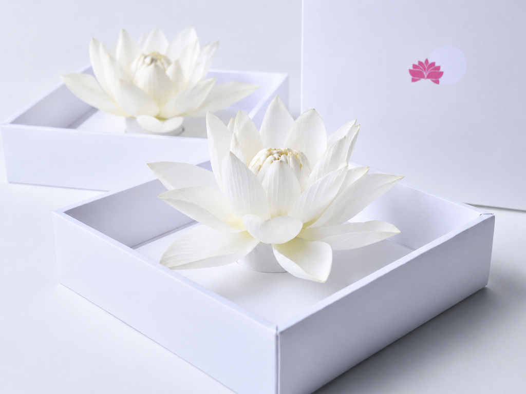 Lotus