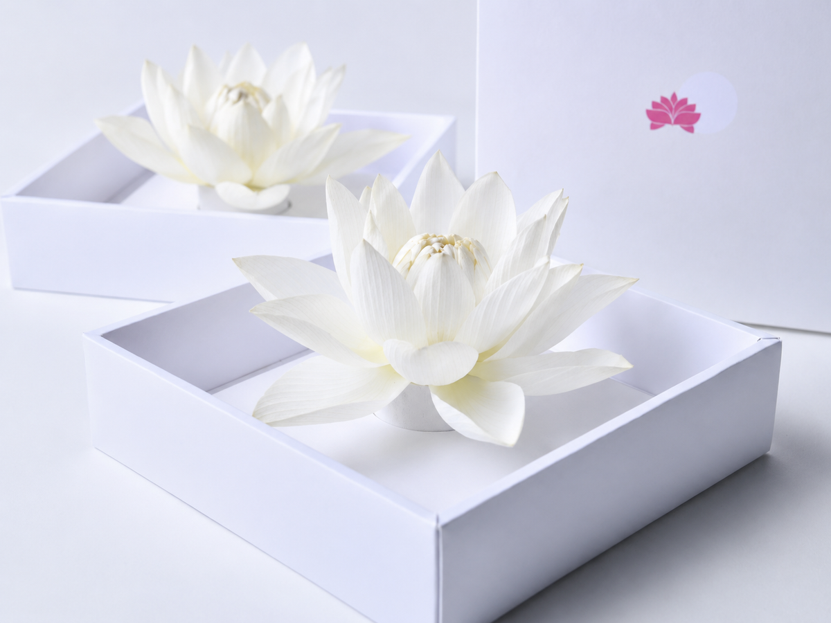 Lotus
