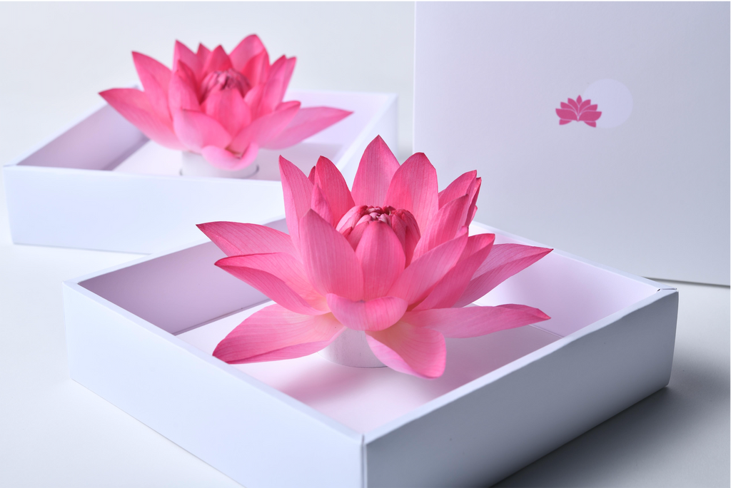 Lotus