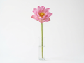 pink-vase