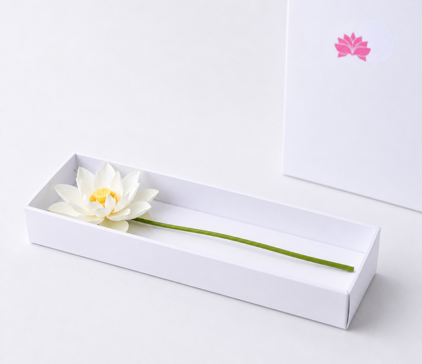 white-none